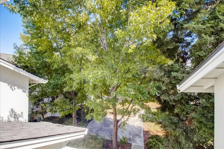 , Walnut Creek, California 94597