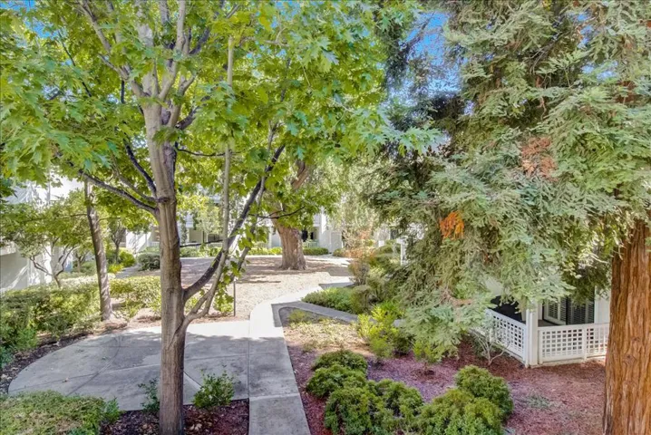, Walnut Creek, California 94597