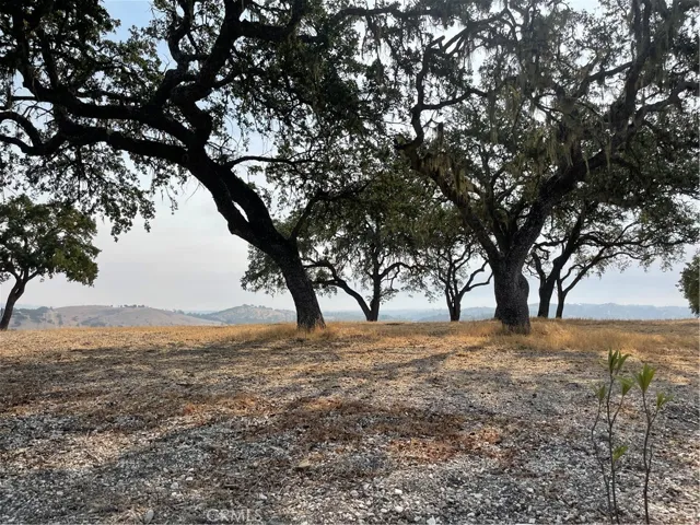 1755 Hanging Tree Lane, Templeton, California 93465