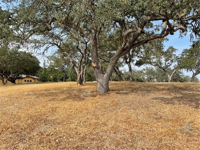 1755 Hanging Tree Lane, Templeton, California 93465