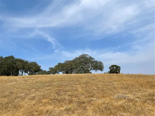 Looking up from lower portion of lot