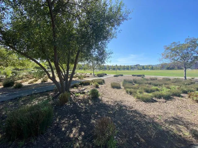 , San Mateo, California 94403