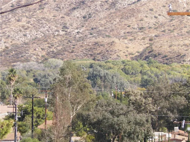 48959 Buena Vista Drive, Morongo Valley, California 92256