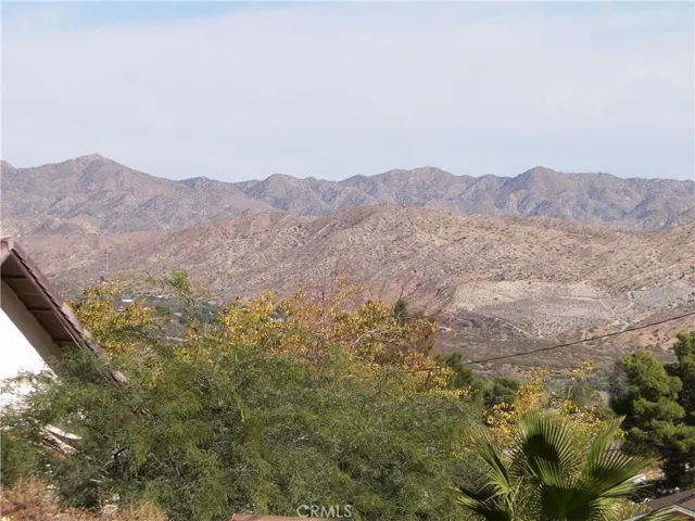 48959 Buena Vista Drive, Morongo Valley, California 92256