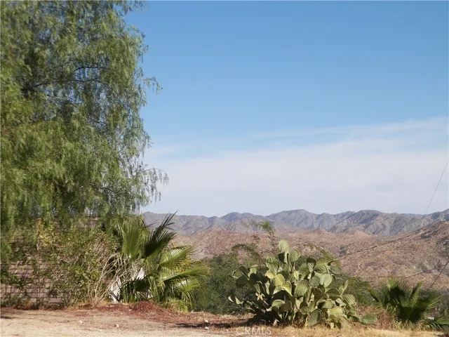 48959 Buena Vista Drive, Morongo Valley, California 92256