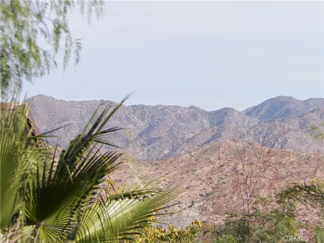 48959 Buena Vista Drive, Morongo Valley, California 92256