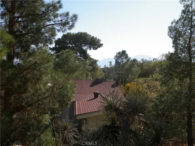 48959 Buena Vista Drive, Morongo Valley, California 92256