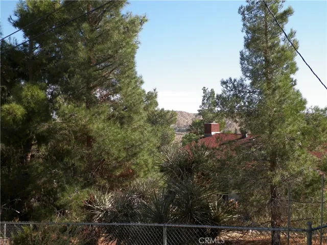 48959 Buena Vista Drive, Morongo Valley, California 92256