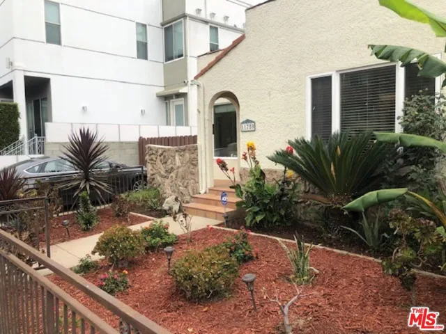 Front Yard