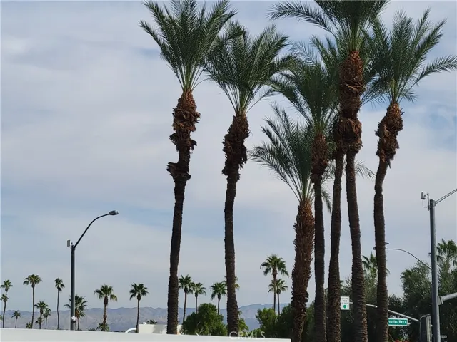 401 S El Cielo Road 191, Palm Springs, California 92262