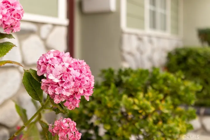 16491 Van De Velde Way, Westminster, California 92683