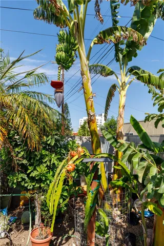 15424 S Budlong Avenue, Gardena, California 90247