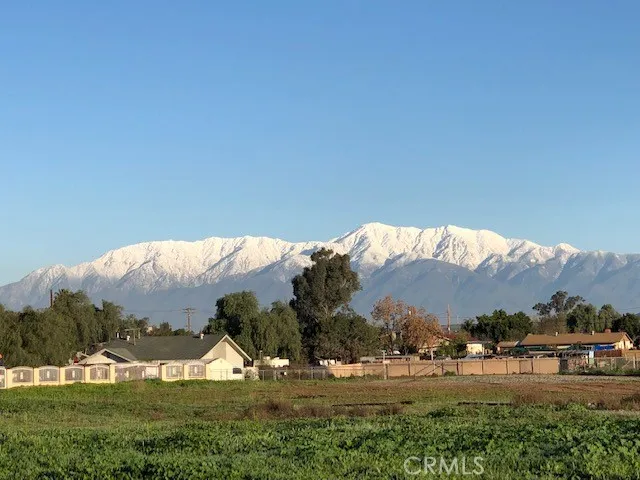 Front Yard view
