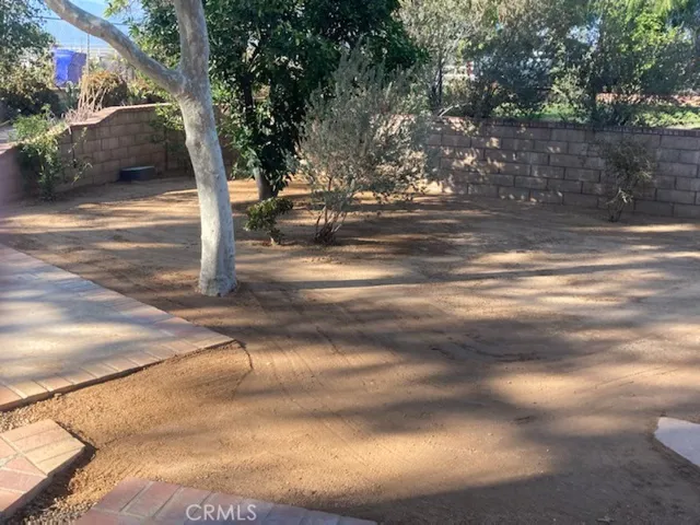 Front yard