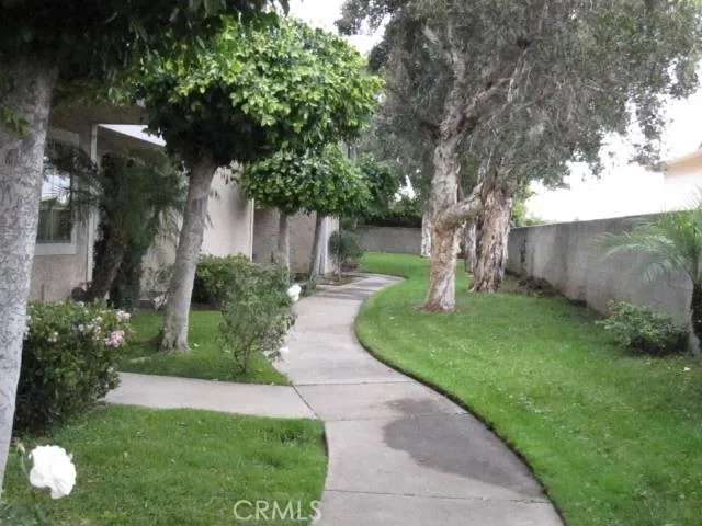 Front Yard