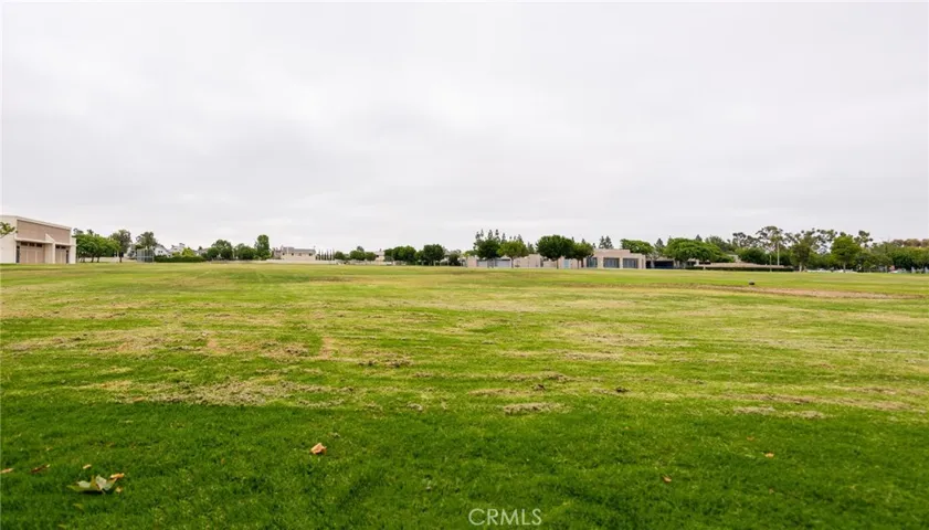 Park/school in front yard