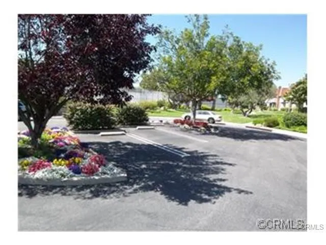 Lots of guest parking and nice open space.