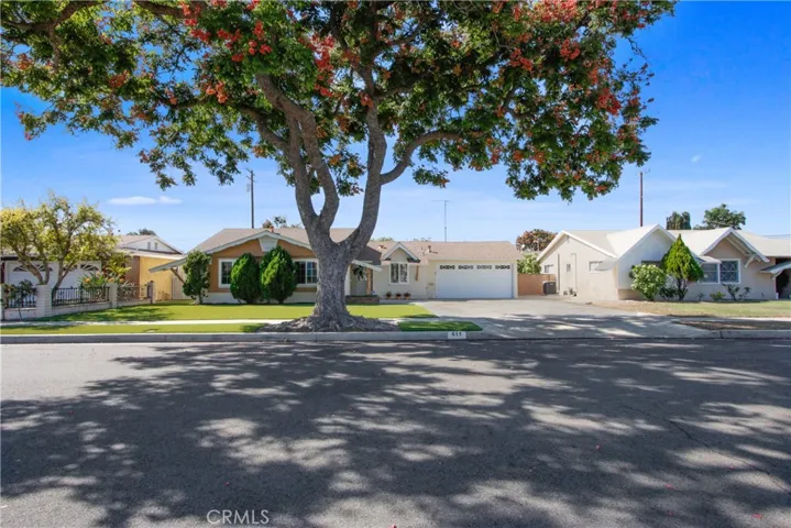 Gorgeous tree out front! Nice wide street!