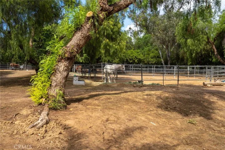 1676 Dentro De Lomas, Bonsall, California 92003