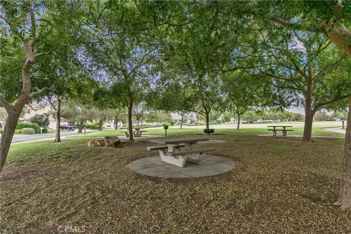 Enjoy Picnics and BBQ At The Park