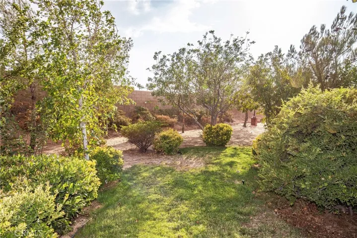 2546 Duomo Street, Palmdale, California 93550