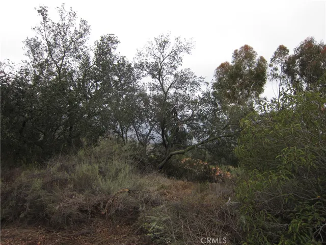 0 Marbrise Abanita, Murrieta, California 92562
