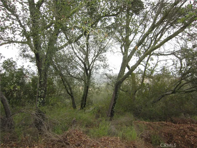 0 Marbrise Abanita, Murrieta, California 92562