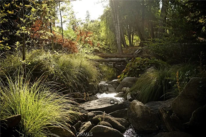 Nelder Creek