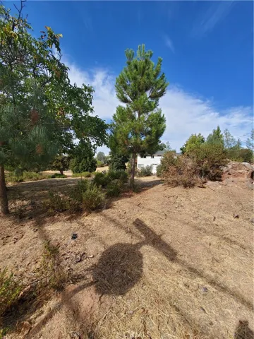10602 Fairway Drive, Kelseyville, California 95451