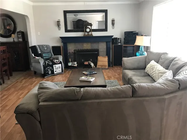 Living room fireplace