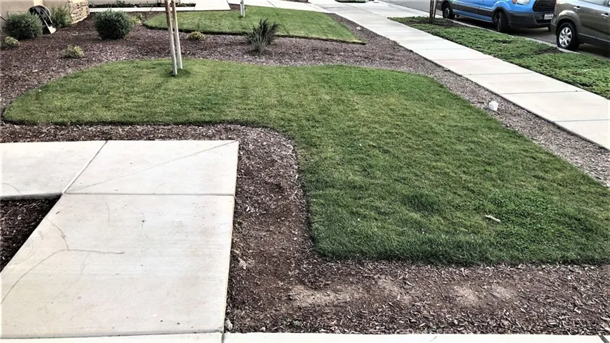 front yard