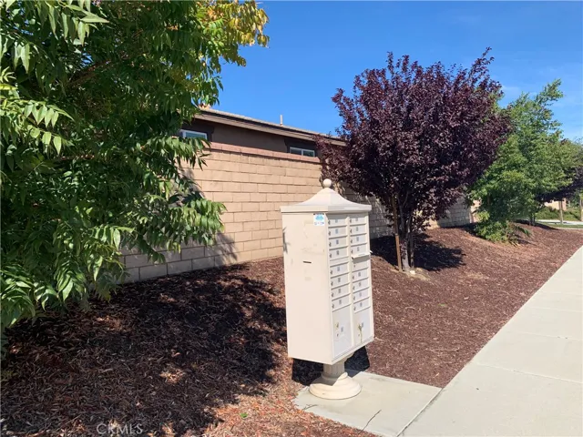 Owned side yard