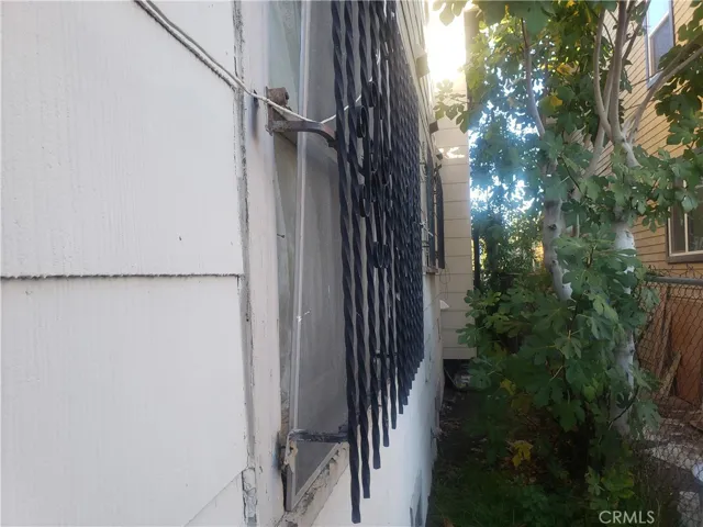 South side yard