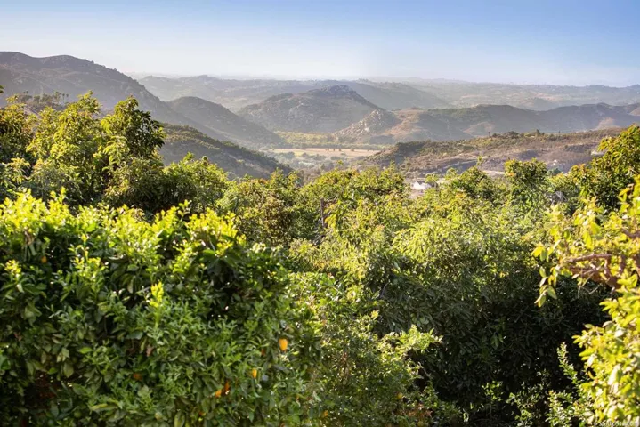 11130 San Gabriel Way, Valley Center, California 92082