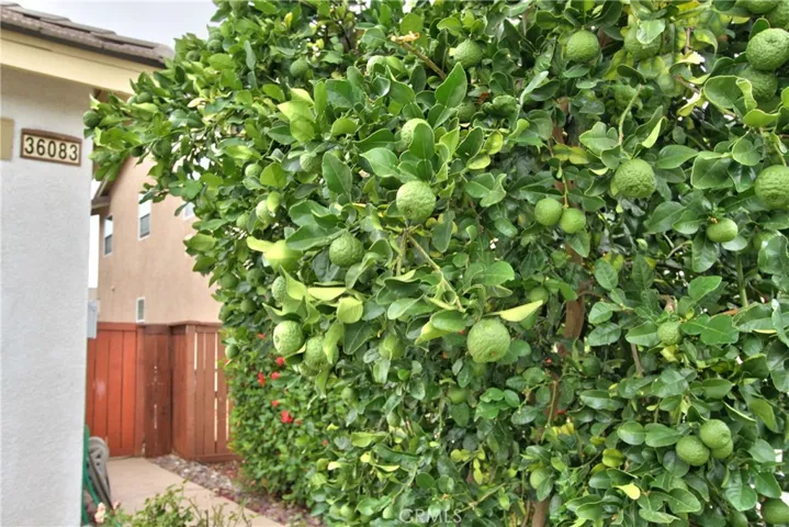 36083 Horseshoe Court, Wildomar, California 92595