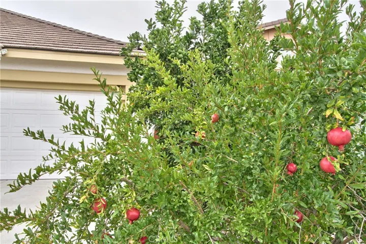 36083 Horseshoe Court, Wildomar, California 92595
