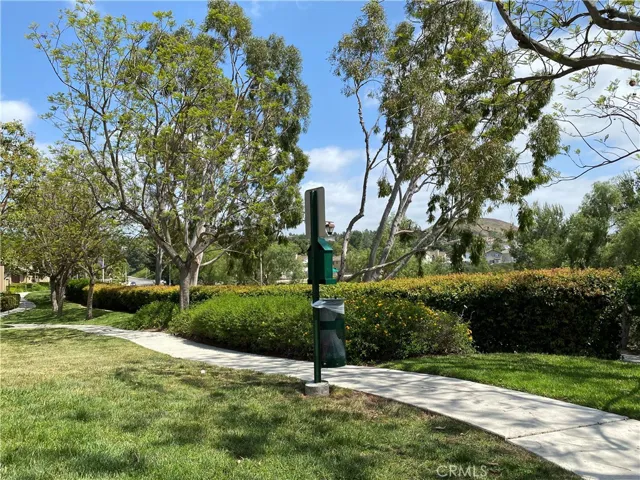 1117 S Positano Avenue, Anaheim Hills, California 92808