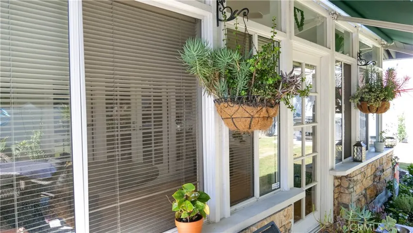 Plants love the sunroom both inside and out.