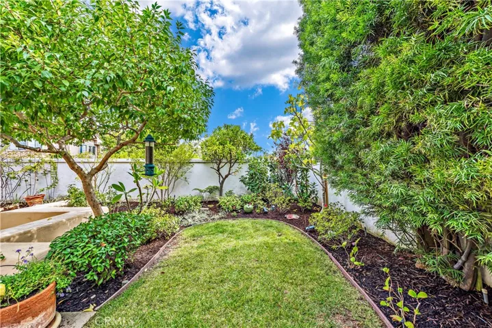 Tranquil Garden Area