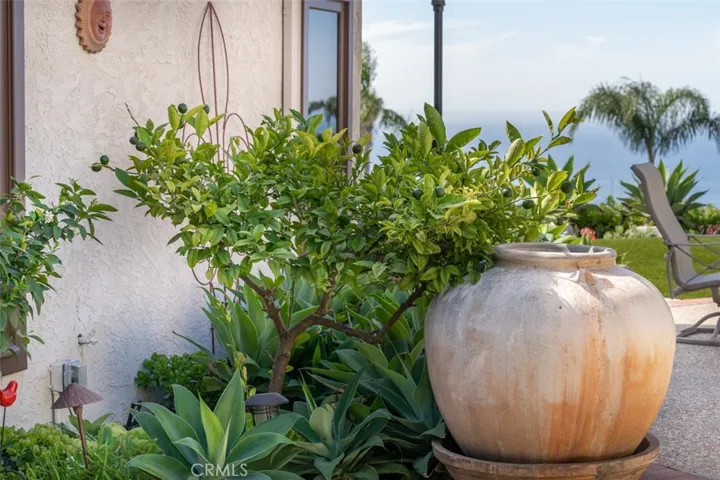 539 Avenida Buenos Aires, San Clemente, California 92672