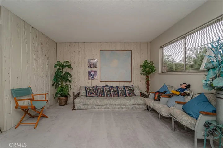 Family room-lower level