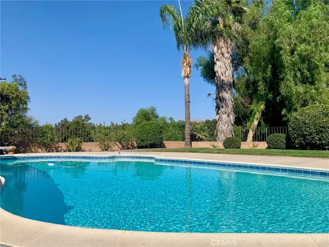 New pool