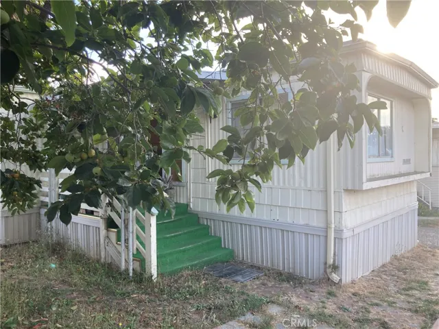 Front / side yard