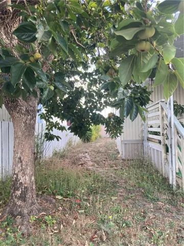Front / side yard