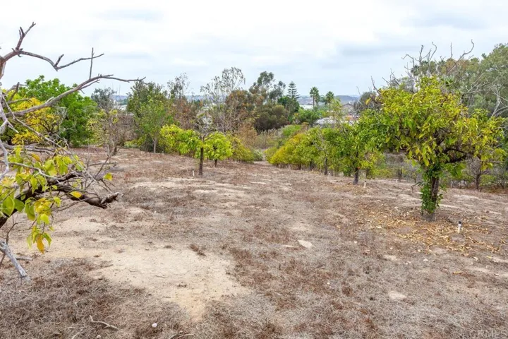 733 51 Virginia Place, San Marcos, California 92078