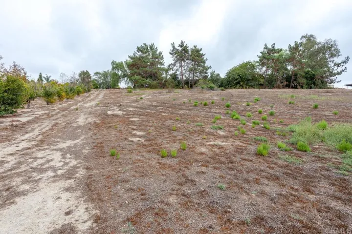 733 51 Virginia Place, San Marcos, California 92078