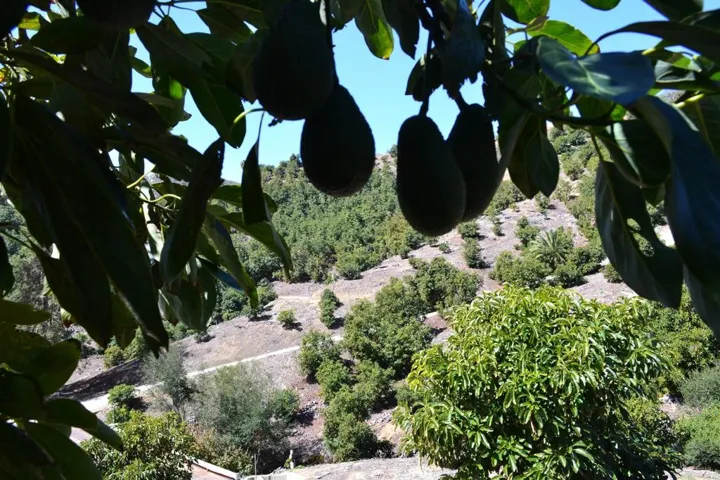 0 W Sandia Creek, Fallbrook, California 92028
