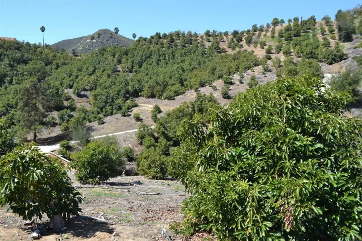 0 W Sandia Creek, Fallbrook, California 92028