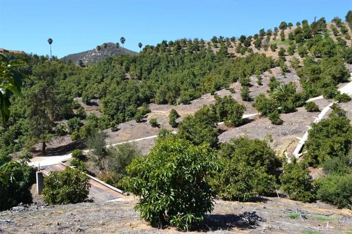 0 W Sandia Creek, Fallbrook, California 92028