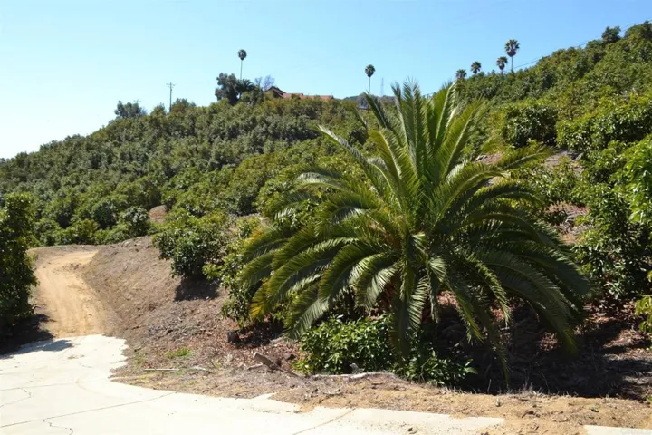 0 W Sandia Creek, Fallbrook, California 92028